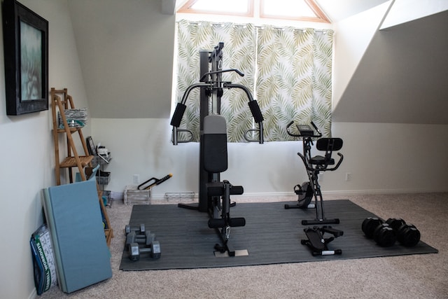 An at-home gym with dumbells and weight-lifting machines with everything needed for at-home workout programs.