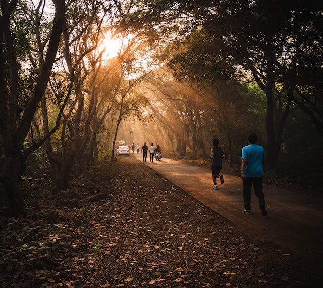 Multiple people walking and jogging on a pavement in a forest as a form of a light cardio workout.